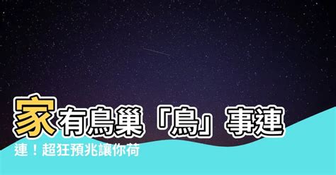 家裡有鳥巢代表什麼|【家裡有鳥築巢】鳥巢報喜！1個跡象代表家宅運勢大。